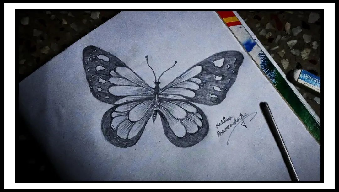 Mahima_Sketch_Of_Butterfly